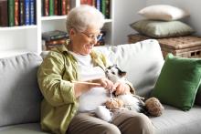 Elderly woman knitting with cat