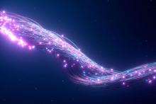 Fibre